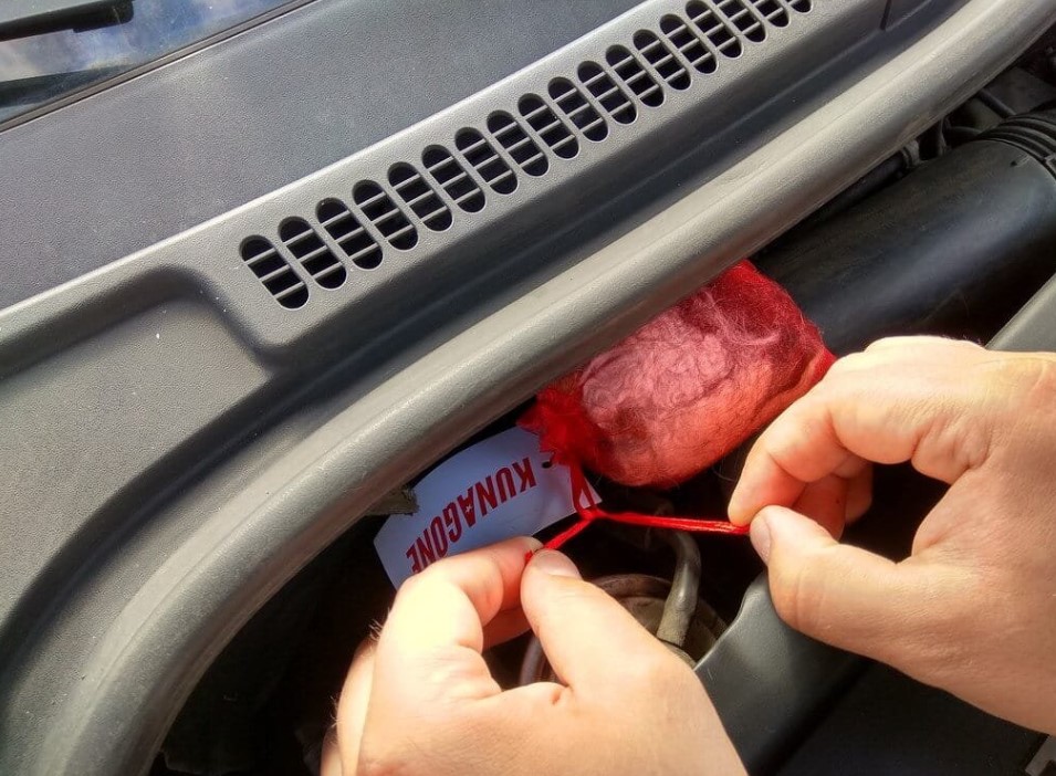 odpudzovač na divú zver